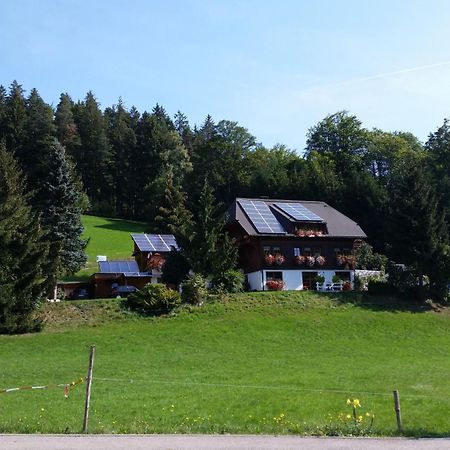 Апартаменты Gaestehaus Maria Brinkhus Schonach im Schwarzwald Экстерьер фото