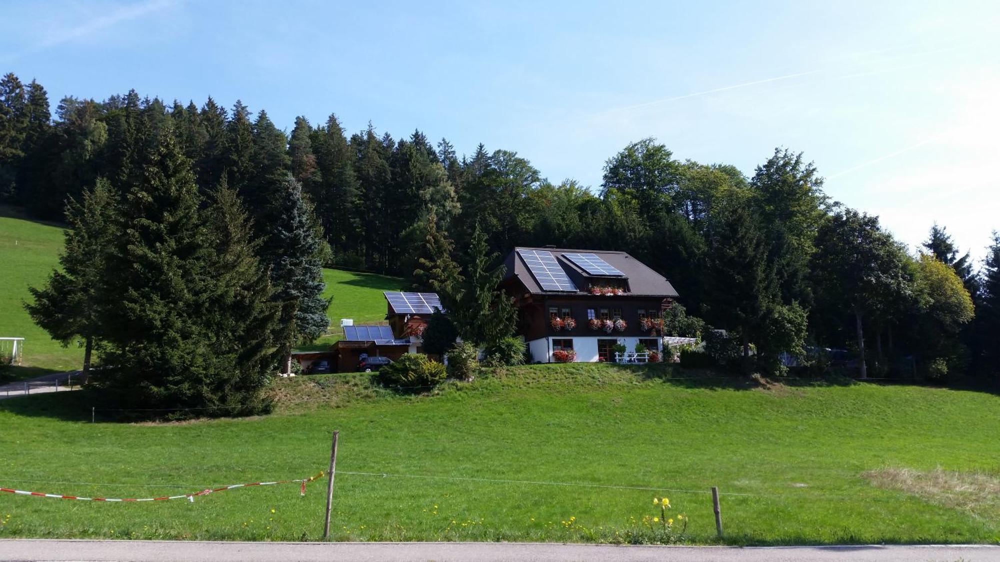 Апартаменты Gaestehaus Maria Brinkhus Schonach im Schwarzwald Экстерьер фото